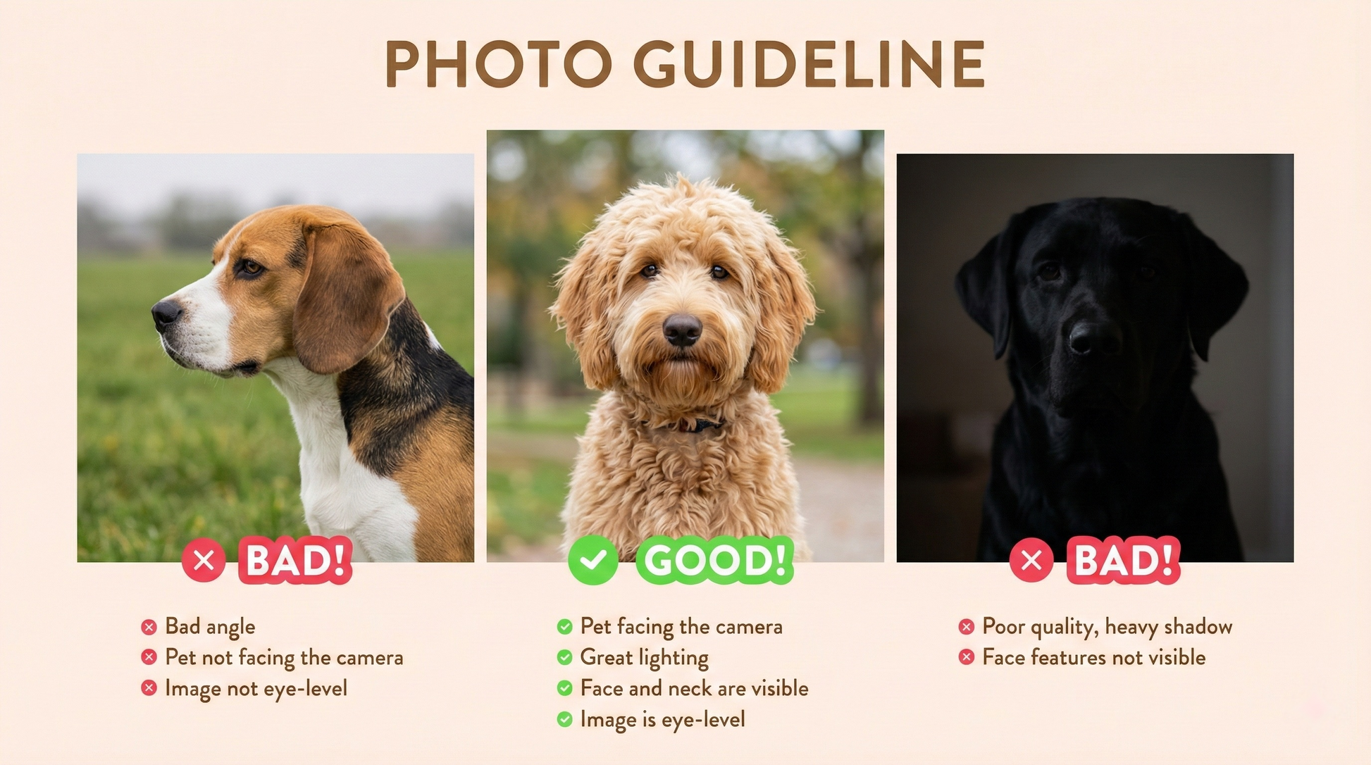 Custom Watercolor Pet Portrait From Photo - Personalized Dog & Cat Art by Phoenix Tree Studio